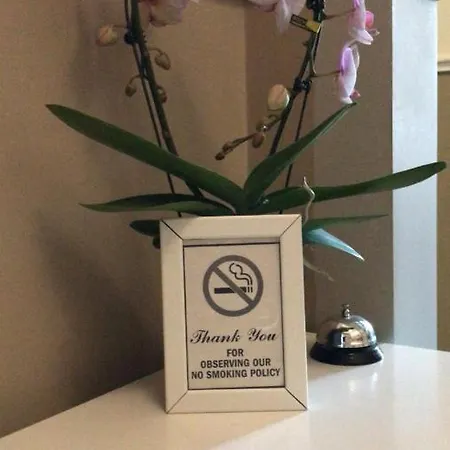 住宿加早餐酒店 佛罗伦萨我的宾客住宿加早餐旅馆
