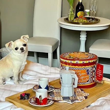 My Guest In 3* Florence